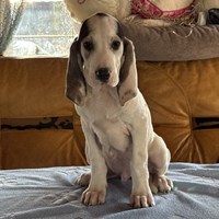 Boy 7