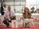 Чемпионат Мира 2015 и Клубные выставки в Милане